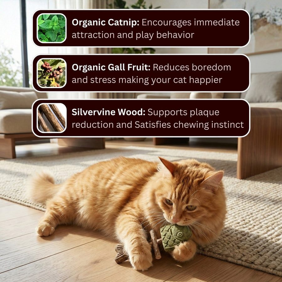 🐱Catnip & Silvervine Chew